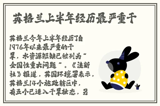 麻豆精产三产区区别蘑菇