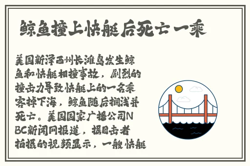 久久精品国产99久久这里